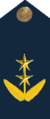 AvTenienteCoronel