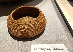 Basket, Kumeyaay - Oakland Museum of California - DSC04988