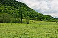 Bosque y Vegetacion Protector El Artesan EcuadorianHands