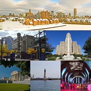 Buffalo Montage1.jpg