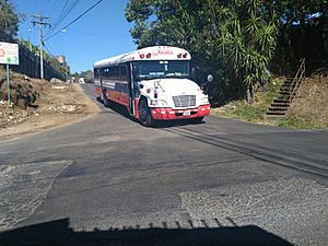 Archivo:Bus Brasilia