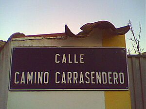 Archivo:Calle Camino Carrasendero