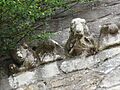 Capiteles erosionados en la fachada norte 03