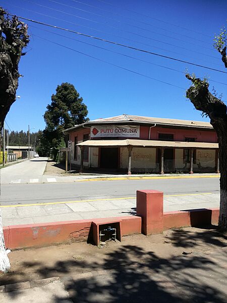 Casa Putu 1