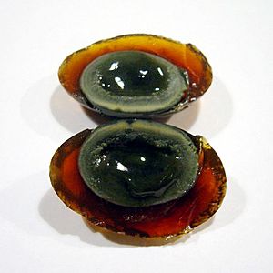Archivo:Century egg sliced open