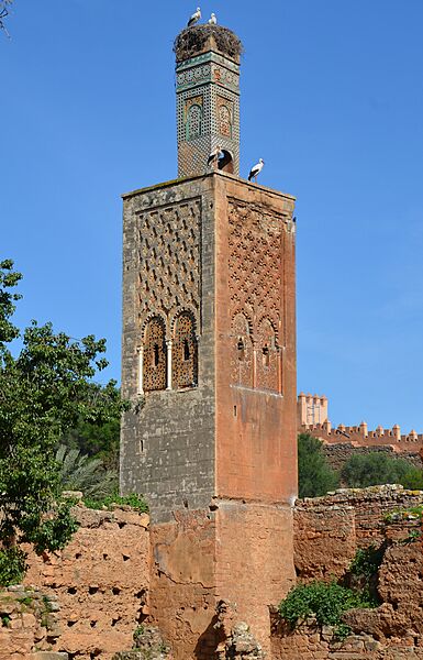 Chellah, Morocco (32540318610)