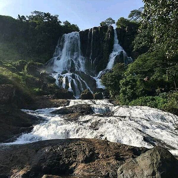 Chute saala labé