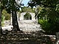 Cozumel San Gervasio feb 2011 (4)