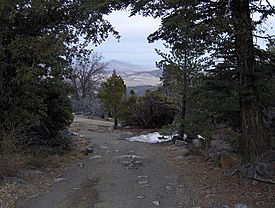 Cuyamaca Peak, Summit, looking east.jpg