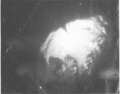 Flora radar