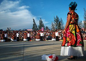 Archivo:Guelaguetza San Antonino Castillo Velasco