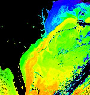 Archivo:Gulf Stream water temperature