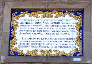 Archivo:Haro - Plaza de Toros 8