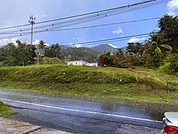 Hato Nuevo, Gurabo, Puerto Rico.jpg