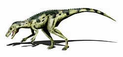 Herrerasaurus BW.jpg