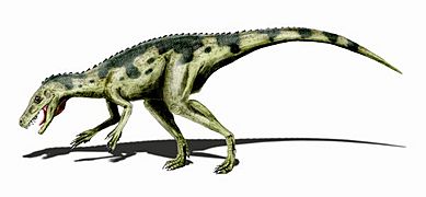 Herrerasaurus BW