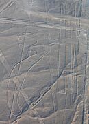 Líneas de Nazca, Nazca, Perú, 2015-07-29, DD 63