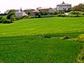 Leciñana de la Oca (Ribera Alta) 05