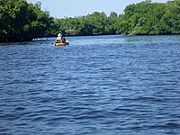 Archivo:Little Manatee River kayaker