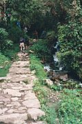 Machu Picchu Trail