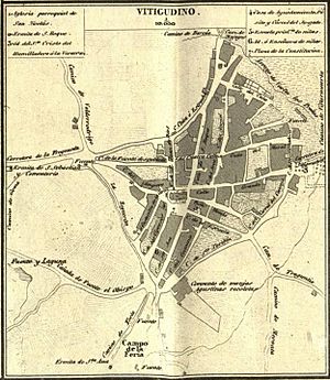 Archivo:Mapa de Vitigudino, 1867, por Francisco Coello