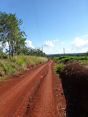 Archivo:Misiones - Camino rural en Villa Bonita