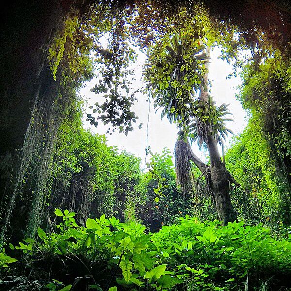 Musanze-Caves