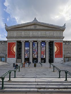 Archivo:Museo Field, Chicago, Illinois, Estados Unidos, 2012-10-20, DD 05