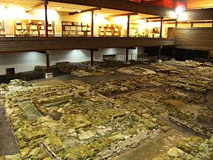 Archivo:Necropolis paleocristriana