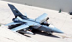 Archivo:Parking RSAF Tornado in 1991