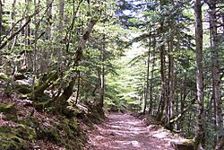 Archivo:Pirineo Ordesa 1