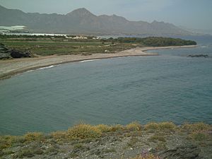 Archivo:Playas del Ballenato y Las Chapas