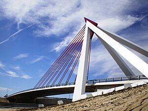 Archivo:Puente Puerta de Las Rozas