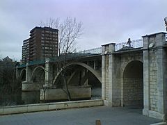 Puente del Poniente en Valladolid 01