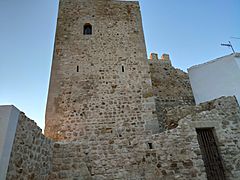 Puerta torre Almedina-Martos