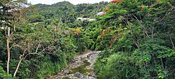 Río Matón, Cayey, Puerto Rico.jpg