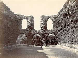 Archivo:Reading Abbey, Ruins of the Chapter House, c. 1870