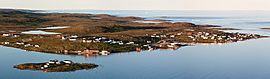 RedBay-Labrador.jpg