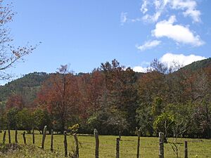 Archivo:Santa Cruz,Lempira 7