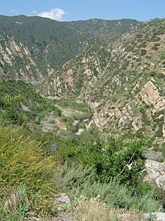Archivo:Santa monica mountains canyon