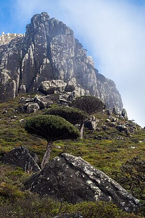 Archivo:Socotra Mt. Skand