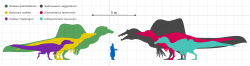 Archivo:Spinosauridae Size Diagram by PaleoGeek - Version 2