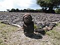 Taputapuatea marae Raiatea