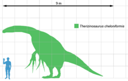 Archivo:Therizinosaurus scale