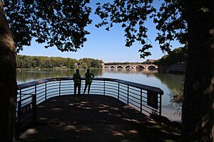 Archivo:Toulouse - Garonne et Pont Neuf