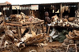 Archivo:Voodo-fetischmarkt-Lomé