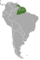 White-faced Saki area
