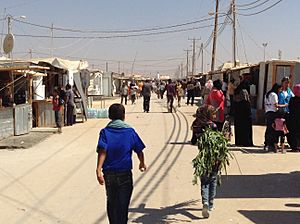 Archivo:Zaatari refugee camp, Jordan (9660903303)