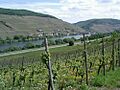 Zell-Mosel2