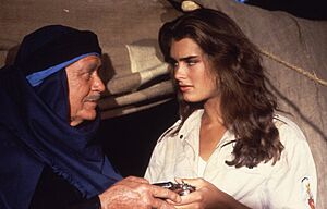 Archivo:ברוק שילדס בסהרה